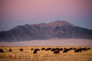 Zapata Ranch