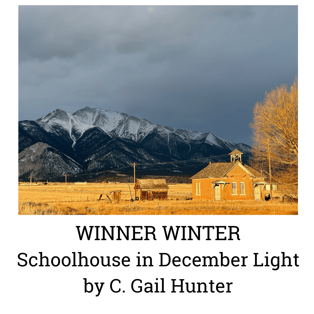 winter photo contest winner