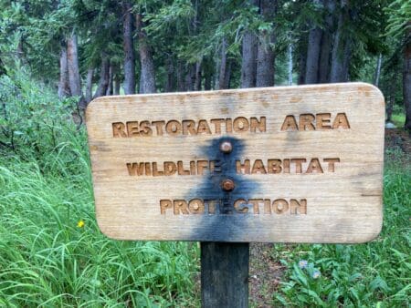 Garna backcountry camping chaffee county - restoration area sign